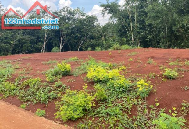 Cần bán 1156m2, đất full hồng, mặt giáp đường bê tông 43m, kề quốc lộ 13. - 1