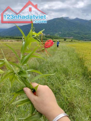 Đất Đẹp - Giá Tốt - Chính Chủ Cần Bán Lô Đất Vị Trí Đẹp Tại Xã  Ninh Hưng - Ninh Hòa, - 4