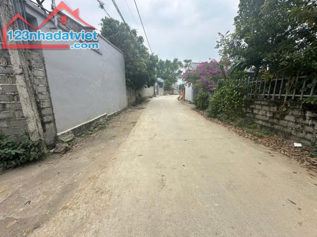 Rẻ như cho CHỈ 1,35 TỶ, 156M2 TẠI NAM PHƯƠNG TIẾN - 3