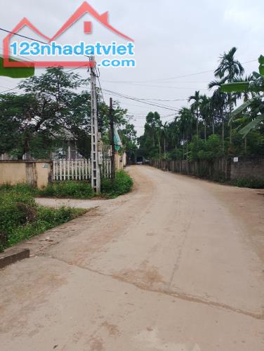 Đất rẻ Nhuận Trạch Lương Sơn, Hòa Bình 1341m2 giá  6,5tỷ