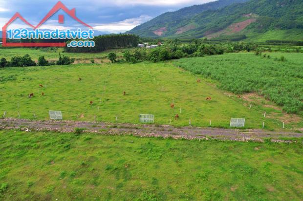 🔥HOT HOT HOT !!! ĐẤT VƯỜN KHÁNH HIỆP VIEW SÔNG CHÒ CHỈ 169tr/750m2