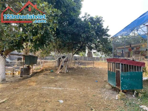 Bán trang trại 1,8ha tại Hà Nội, doanh thu 300 triệu/th giá cho nhà đầu tư - 5