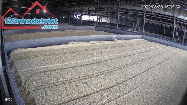 Nhà máy gạo tổng dt 25000m2 mặt tiền sông Vàm Cỏ xã Thuận NghĨa Hòa,Thạnh Hóa giá 170 tỷ - 1