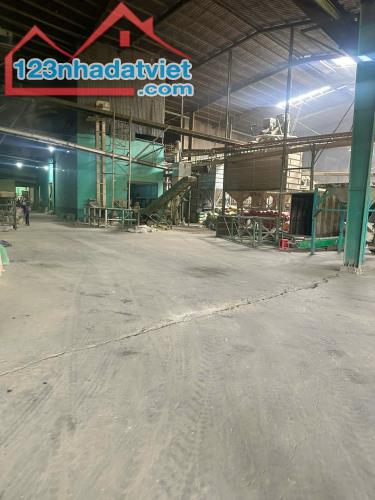 Nhà máy gạo tổng dt 25000m2 mặt tiền sông Vàm Cỏ xã Thuận NghĨa Hòa,Thạnh Hóa giá 170 tỷ - 3