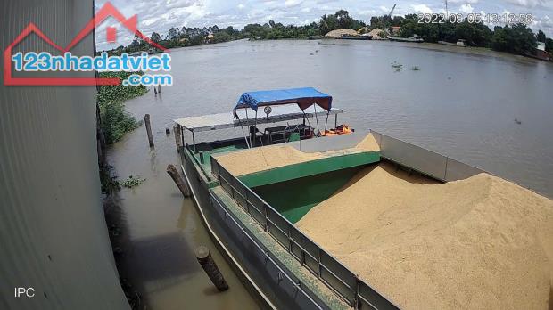 Nhà máy gạo tổng dt 25000m2 mặt tiền sông Vàm Cỏ xã Thuận NghĨa Hòa,Thạnh Hóa giá 170 tỷ - 5