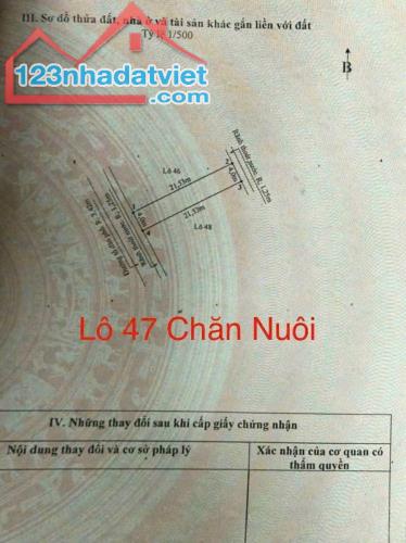 Chuyển nhượn.g lô đất số 47 tại Khu Chăn Nuôi- Núi ĐÈO   👉 Diện tích 86m2 👉 Hướng Tây na - 1