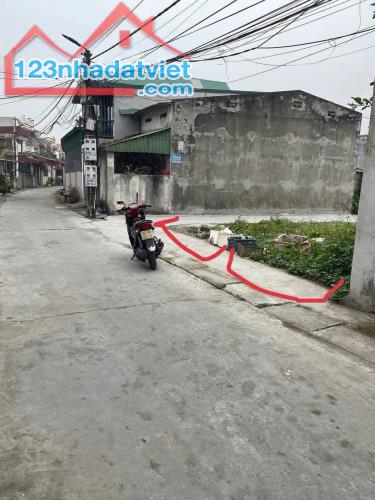 Bán 2 lô đất liền kề nhay khu 6 phường Nhị Châu, thành phố Hải Dương - 2