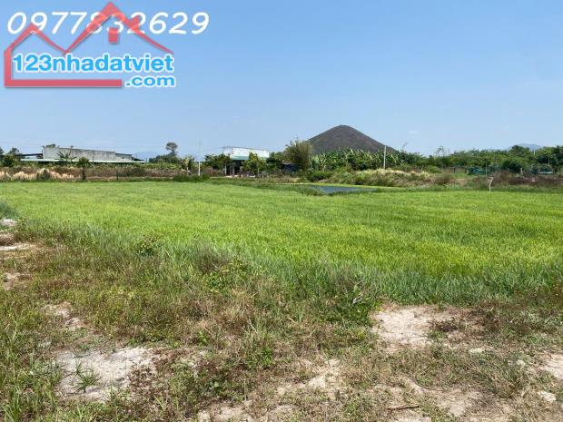 Bán 2939m2 đất Tân Tiến - TX LaGi giá ngộp chỉ 1.1 tỷ sổ riêng - 2