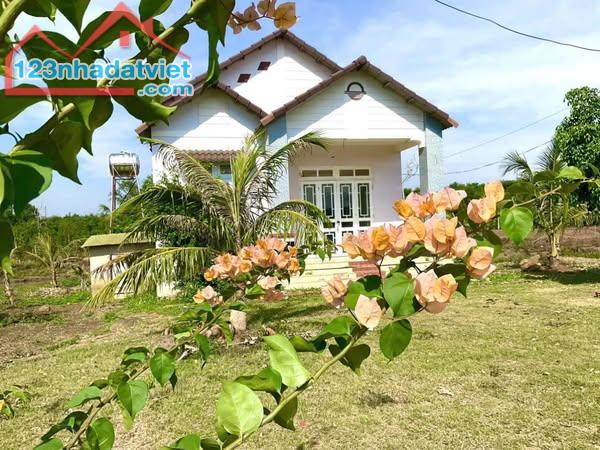 ✨🏡 CƠ HỘI CÓ 1 0 2 - SỞ HỮU ĐẤT & NHÀ ĐẸP VIEW HỒ DAKLAK - HƠN 700 TR - 2