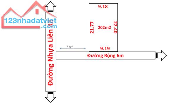 Đất xóm 5 Nghi Trung diện tích 202m2