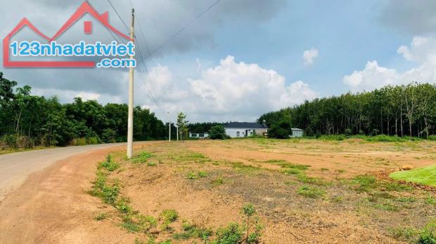 Bán lô đất xây trọ ngay khu công nghiệp, gần ngân hàng, dt 300m2 thổ cư 100m. giá 190 tr - 1