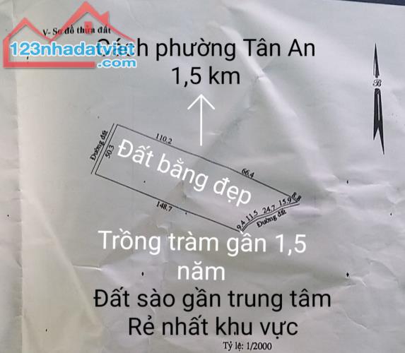 8.363m2 Thị xã Lagi, rẻ nhất khu vực, cách trung tâm 1,5km, 2 mặt tiền - 4