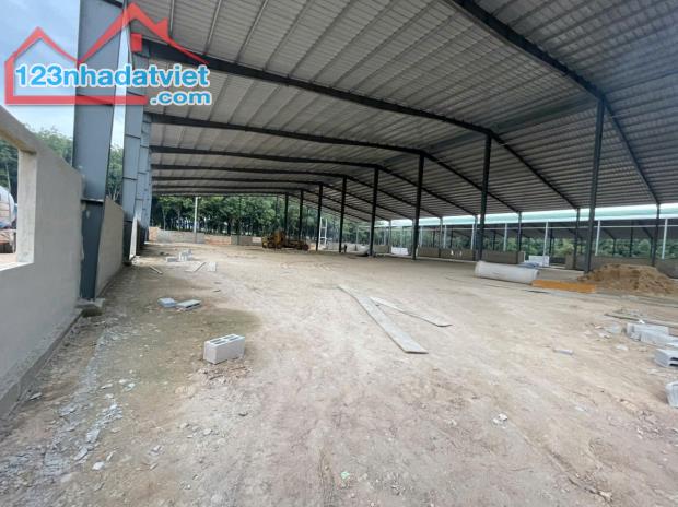 Cho Thuê 6.600m2  Xưởng Mới 100% Ngoài KCN Bàu Bàng Bình Dương Giấy Tờ Đầy Đủ - 2