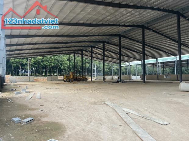 Cho Thuê 6.600m2  Xưởng Mới 100% Ngoài KCN Bàu Bàng Bình Dương Giấy Tờ Đầy Đủ - 3