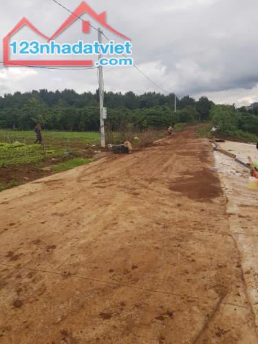 Cần bán 16 lô đất. Đã tách 11lô sổ riêng. Dt 1700m2 đã có 1500m2 thổ cư giá 22,2 tỷ. - 4