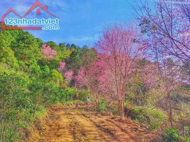 🌸🌸🌸🌸🌸🌸🌸🌸🌸 CHO THUÊ HOMESTAY VIEW ĐẸP, GẦN TRUNG TÂM ĐƯỜNG KHỞI NGHĨA BÁC SƠN, P10 - 2