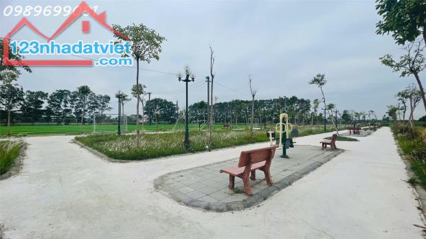 BÁN ĐẤT ĐẤU GIÁ X9 CÁN KHÊ, NGUYÊN KHÊ,ĐÔNG ANH 116,13M2