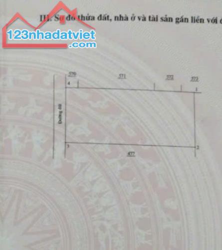 20x47  khu dân cư giá rẻ, đất phủ hồng, đẹp vuông vức, cách QL55 300m. Tân Hà- Hàm Tân Bìn - 1