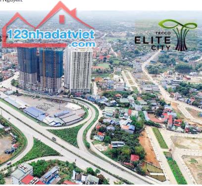 💎 ĐẦU TƯ 0 RỦI RO TẠI TECCO ELITE CITY 💎 - 1