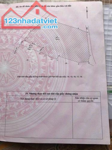 Bán 10m mặt đường nhựa từ K9 Đá Chông đi Thuần Mỹ tại Ba Trại,Ba Vì.DT 389m2(80m2 ONT) - 5