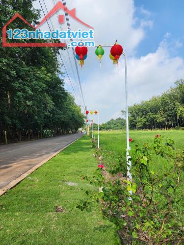 CHÍNH CHỦ CẦN BÁN LÔ ĐẤT 250M2 CÓ 100 THỔ CƯ - 1