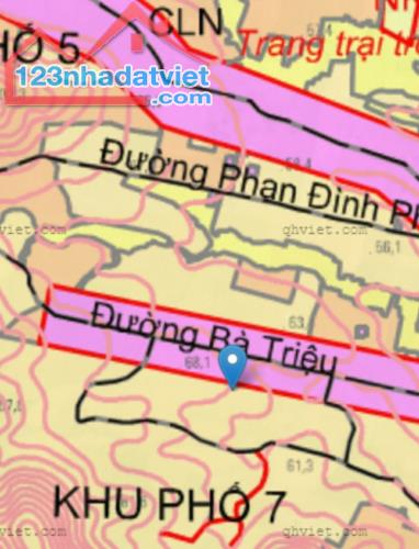 2 hecta phủ hồng đường Bà Triệu, lên được thổ cư, 2 mặt tiền trước sau 173m - 3