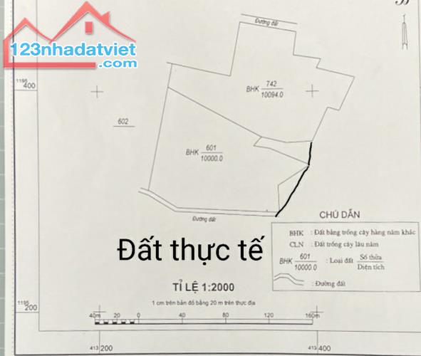 2 hecta phủ hồng đường Bà Triệu, lên được thổ cư, 2 mặt tiền trước sau 173m - 4