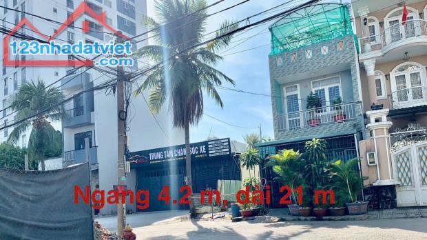 Đất mặt tiền hẻm 159 đường 11 phường Trường Thọ, Thủ Đức. Vị trí kinh doanh đắc địa - 3