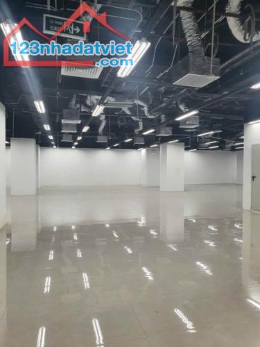 Chính chủ cho thuê 5.000m2 sàn TM văn phòng Mipec 229 Tây Sơn, Đống Đa, HN - 2