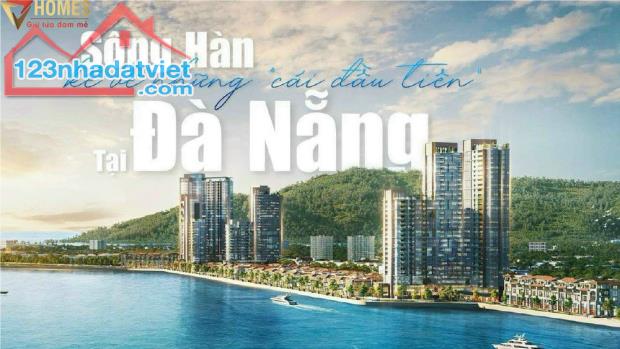 Căn hộ ngay trung tâm thành phố .Giá chỉ 3 tỉ 247 .Chiết khấu 16.5 % - 1