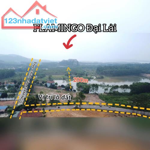 Bán đất thổ cư 7500m2, đường 8m, mặt tiền 200m sát FLAMINGO ĐẠI LẢI, Vĩnh Phúc 7tr/m2