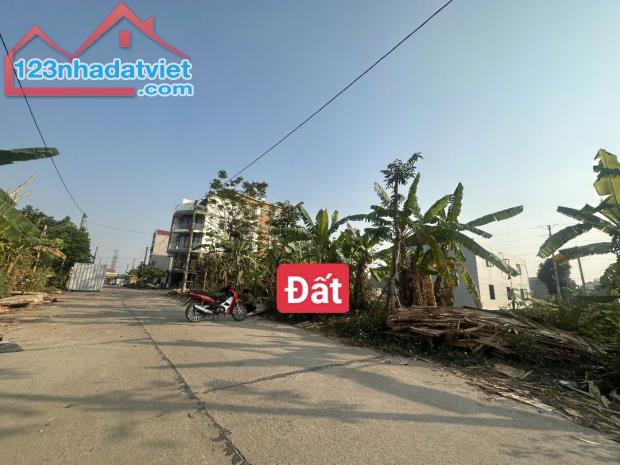 Bán đất Tân Ngọc, Bá Hiến, Bình Xuyên, diện tích: 100m2, giá 2.2x tỷ