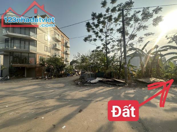 Bán đất Tân Ngọc, Bá Hiến, Bình Xuyên, diện tích: 100m2, giá 2.2x tỷ - 1