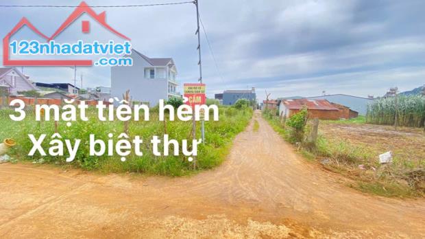 Em lên lô 3 mặt tiền hẻm, hiệp thạnh đức trọng - 2