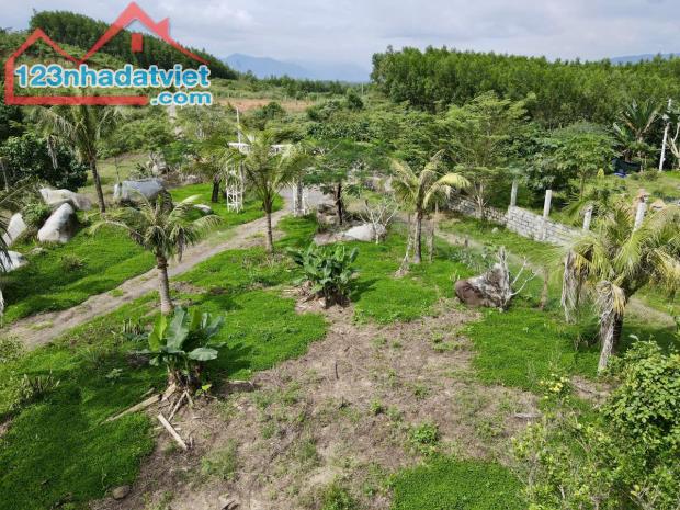 Bán đất vườn Khánh Đông giá rẻ gần Tỉnh Lộ 8 - đã lên mô hình farm cơ bản