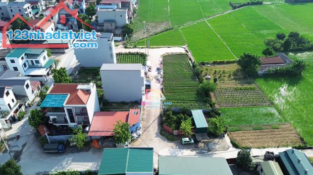 BÁN ĐẤT ĐẤU GIÁ PHÚC HẬU 2 - DỤC TÚ - ĐÔNG ANH - HÀ NỘI - 1