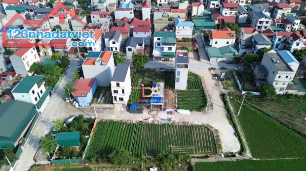 BÁN ĐẤT ĐẤU GIÁ PHÚC HẬU 2 - DỤC TÚ - ĐÔNG ANH - HÀ NỘI - 3