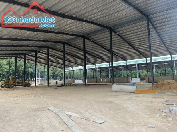 Cho Thuê 6.600m2  Xưởng Mới 100% Ngoài KCN Bàu Bàng Bình Dương Giấy Tờ Đầy Đủ - 2