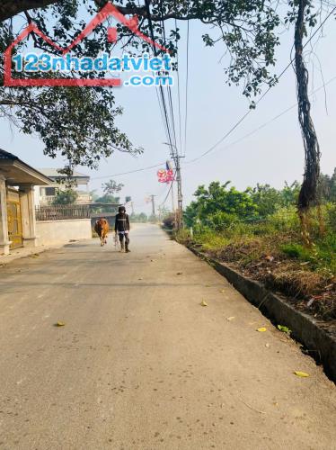 Bán đất thôn Láng , Kim Long , Tam Dương, diện tích tổng 370m2, giá 9 tr/m - 1