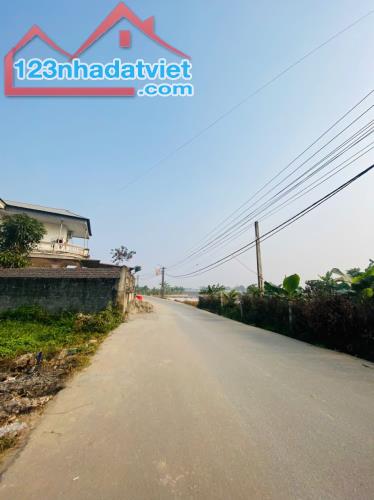 Bán đất thôn Láng , Kim Long , Tam Dương, diện tích tổng 370m2, giá 9 tr/m - 2