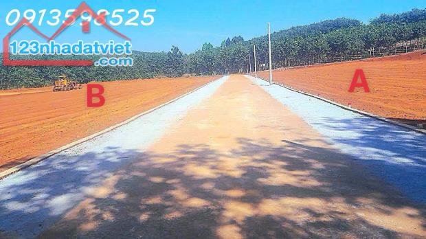 Bán Đất Bình Phước, 250m2, sổ sẵn 100m2 thổ cư, 280tr ngân hàng cho vay 50% - 3