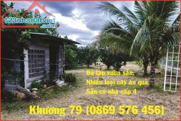 MUA BÁN ĐẤT VƯỜN TẠI KHÁNH HOÀ CHỈ 550 TRIỆU