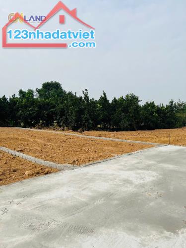 770 triệu Có Ngay 150m2 Thổ Cư -Hàng hiếm tại An Phú, Mỹ Đức Hà Nội