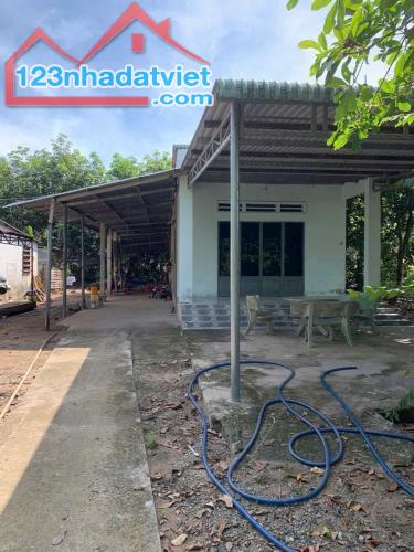 2100m2 Bình Dương, sẵn nhà cấp 4, mặt tiền đường nhựa, SHR - 2