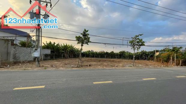 Chỉ 400 triệu sở hữu ngay lô đất SHR TC Sát trung tâm TP Biên Hòa - 5