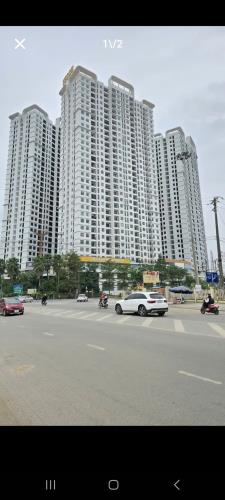 CHỈ 23TR/1M2. TECCO ELITE CITY - THỊNH ĐÁN THÁI NGUYÊN - CHỈ TỪ 1,6 TỶ/1 CĂN HỘ.