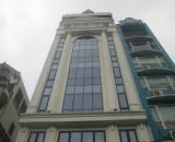 Building lô Góc mặt phố Vũ Tông Phan sầm uất gần Royal City 350m2 chỉ 139 tỷ.Lh 0989626116