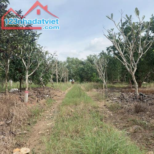 Đất vườn Diên Xuân - Diên Khánh - Khánh Hòa . Phù hợp xây farm