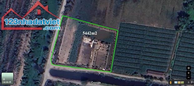 QUÁ SỐC CHỈ 2.9 TR/M2 - LÔ GÓC 2 MẶT TIỀN - GẦN 5500M2 - XUÂN THỚI THƯỢNG -HÓC MÔN - 2