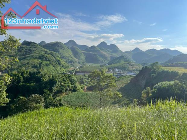 🌿 Siêu phẩm đất nghỉ dưỡng 1,2ha trung tâm thị trấn nông trường Mộc Châu – View đồi chè t - 4